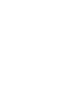 Gebroeders Meijs Icon